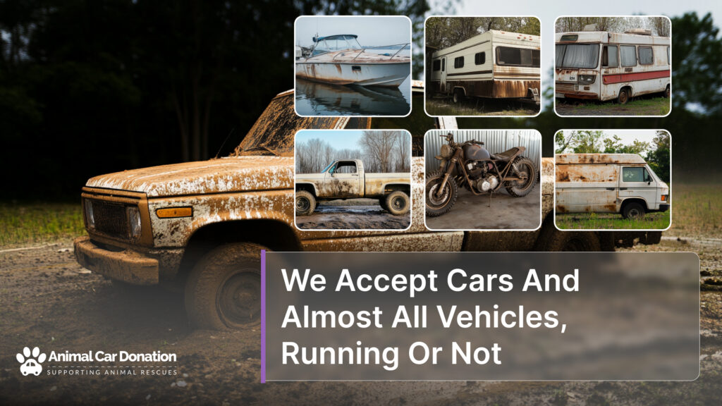 We Accept Cars And Almost All Vehicles, Running Or Not