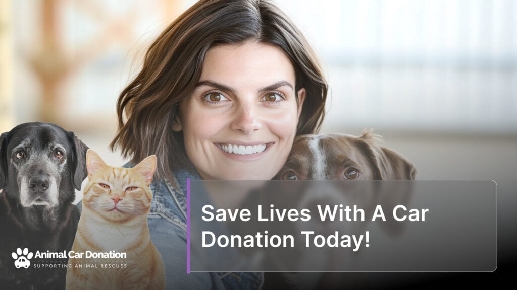 Save Lives With A Car Donation Today!