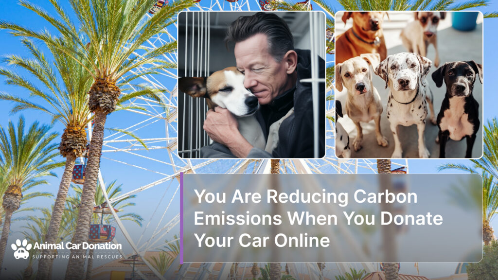 You Are Reducing Carbon Emissions When You Donate Your Car Online