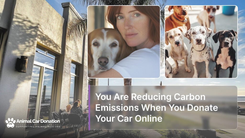 You Are Reducing Carbon Emissions When You Donate Your Car Online