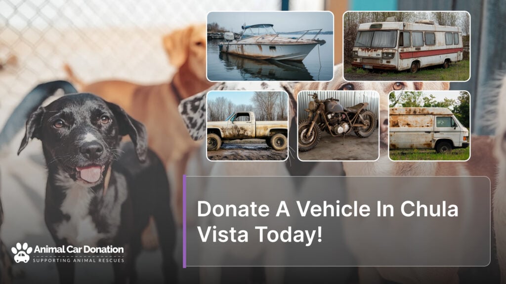 Donate A Vehicle In Chula Vista Today!