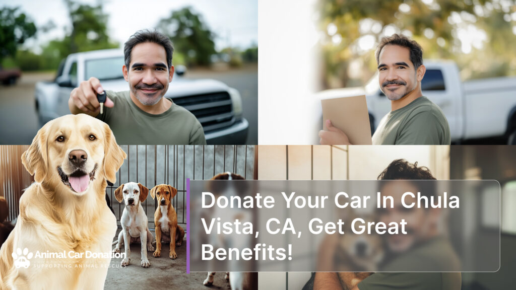 Donate Your Car In Chula Vista, CA, Get Great Benefits!