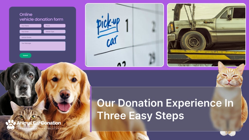 Our Donation Experience In Three Easy Steps