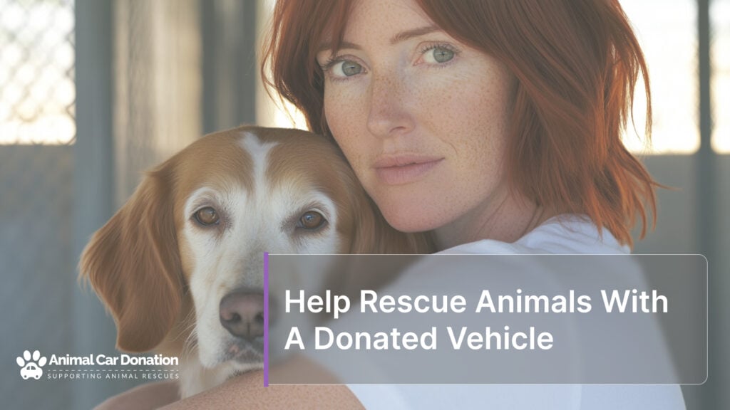 Help Rescue Animals With A Donated Vehicle