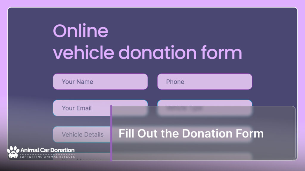 Fill Out the Donation Form