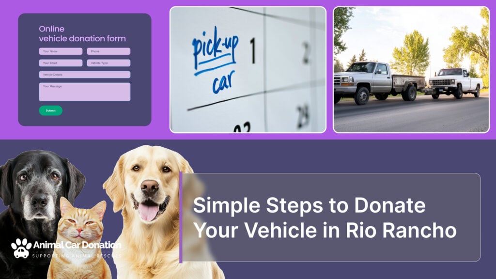 Simple Steps to Donate Your Vehicle in Rio Rancho