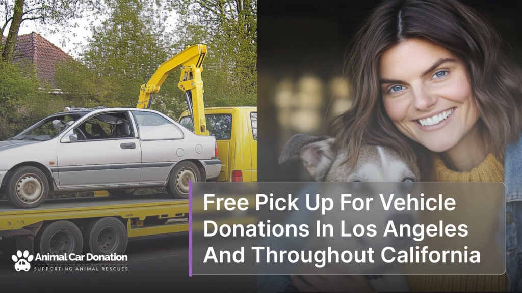 Free Pick Up For Vehicle Donations In Los Angeles And Throughout California