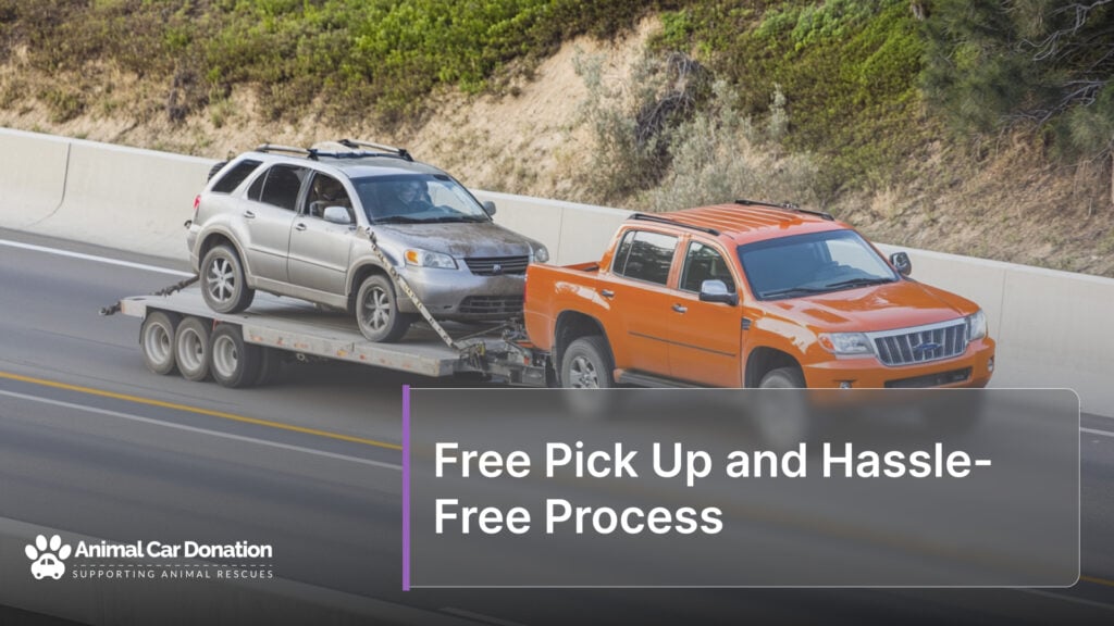 Free Pick Up and Hassle-Free Process