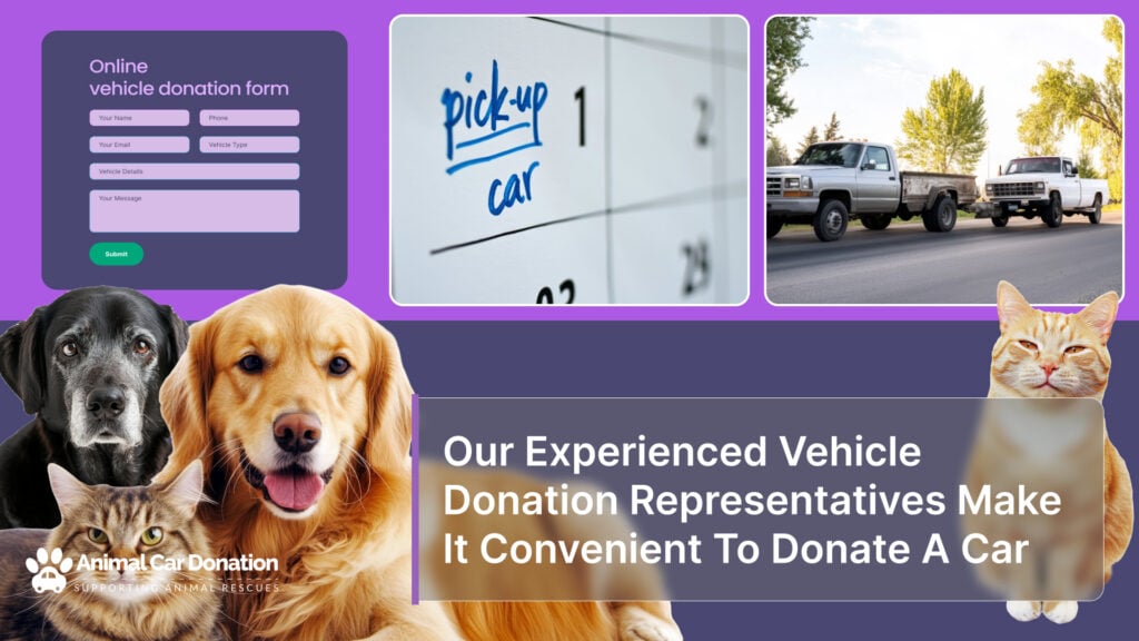 Our Experienced Vehicle Donation Representatives Make It Convenient To Donate A Car