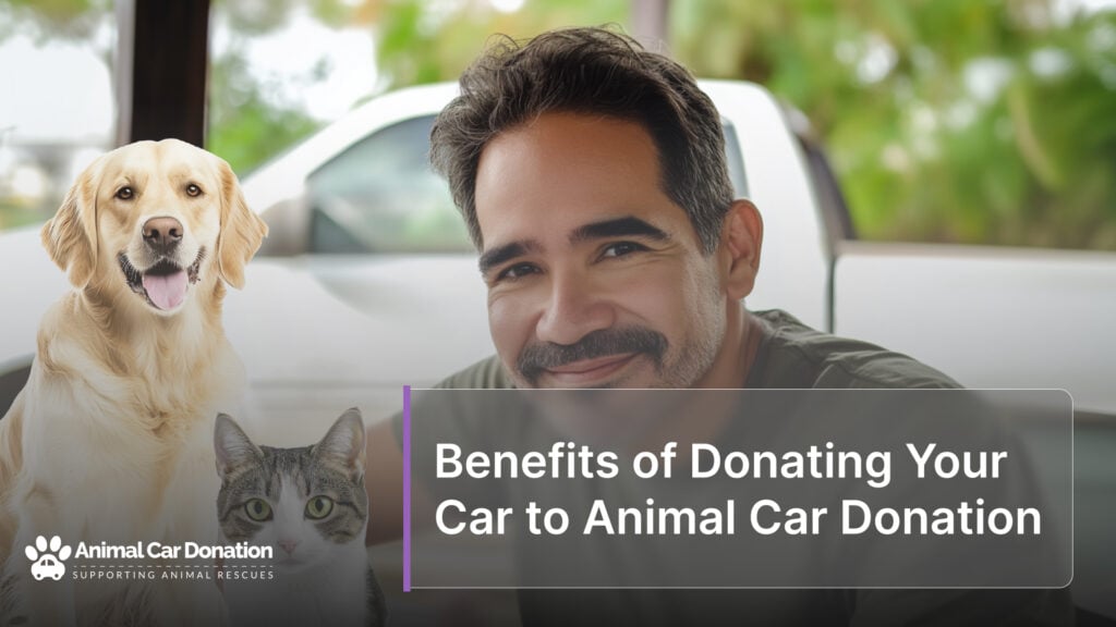 Benefits of Donating Your Car to Animal Car Donation