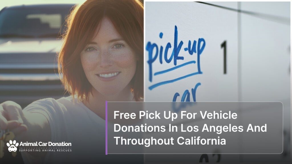 Free Pick Up For Vehicle Donations In Los Angeles And Throughout California