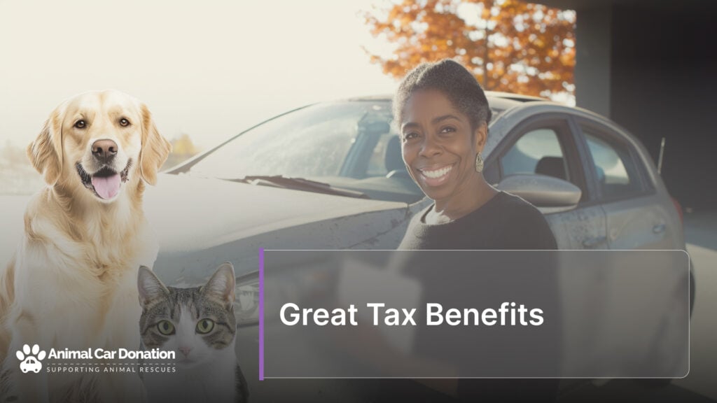 Great Tax Benefits