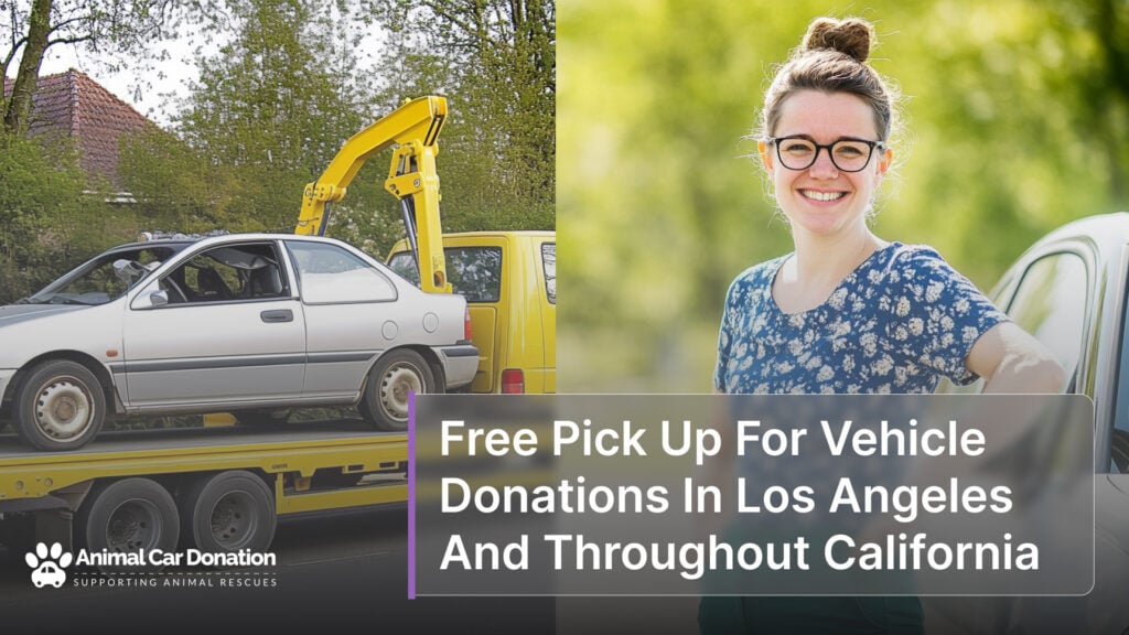 Free Pick Up For Vehicle Donations In Los Angeles And Throughout California