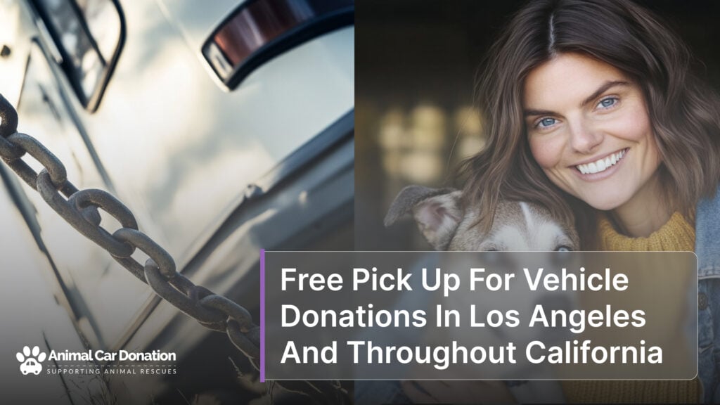 Free Pick Up For Vehicle Donations In Los Angeles And Throughout California