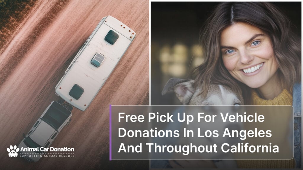 Free Pick Up For Vehicle Donations In Los Angeles And Throughout California