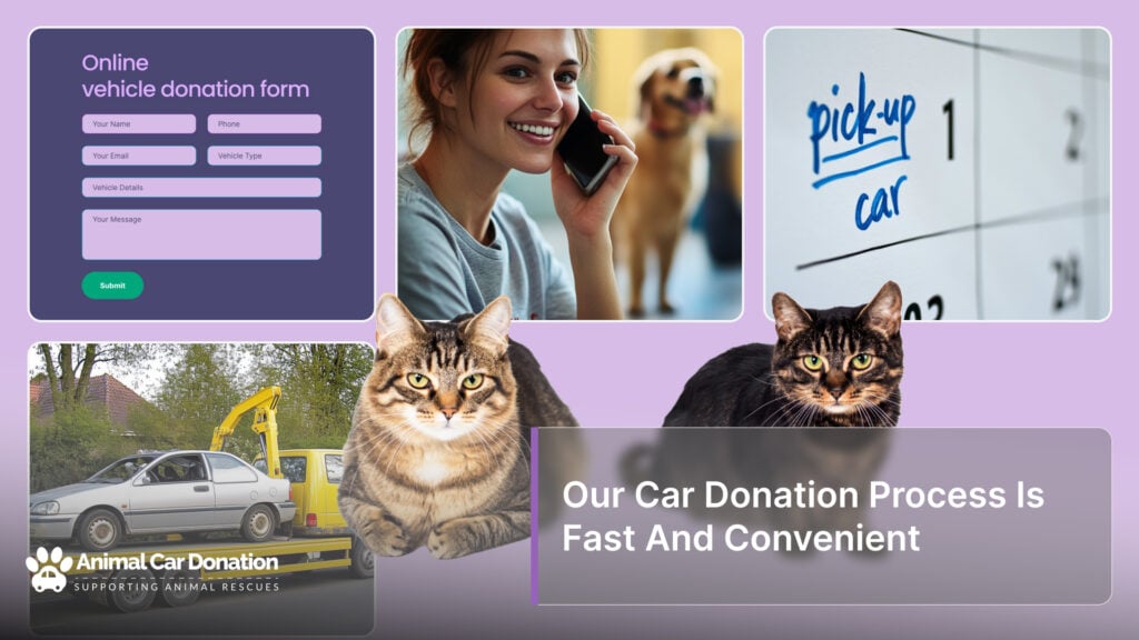 Our Car Donation Process Is Fast And Convenient