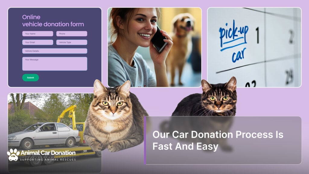 Our Car Donation Process Is Fast And Easy