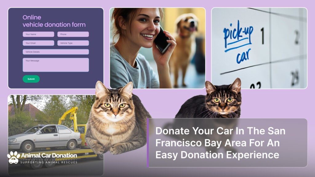 Donate Your Car In The San Francisco Bay Area For An Easy Donation Experience