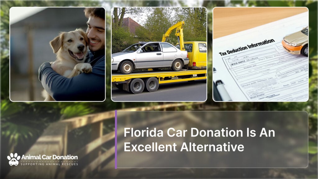 Florida Car Donation Is An Excellent Alternative