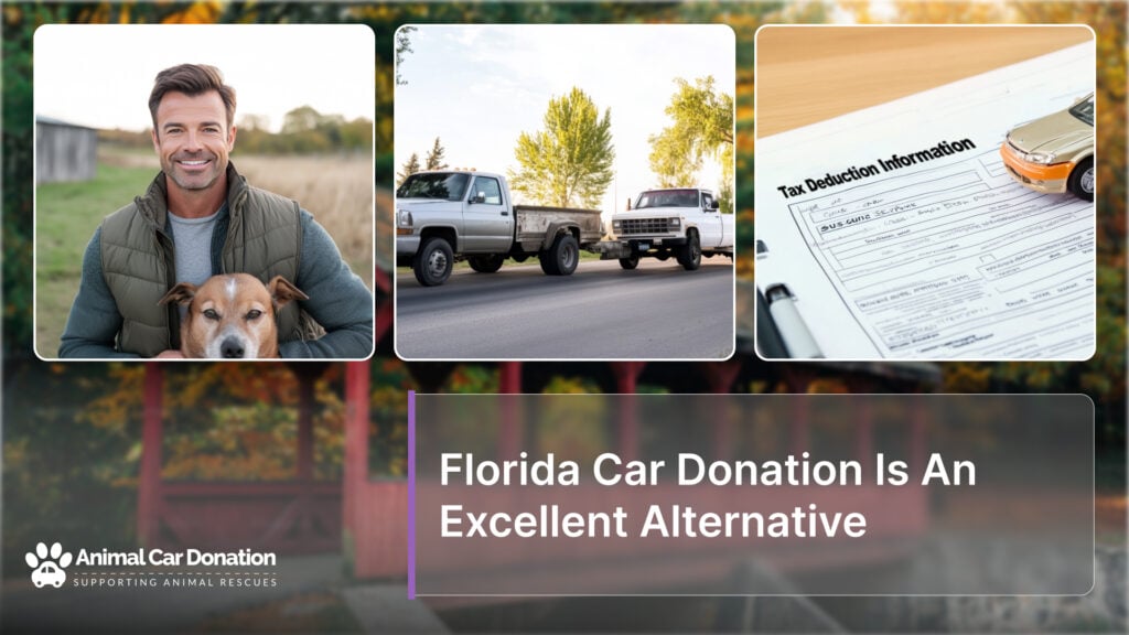 Florida Car Donation Is An Excellent Alternative