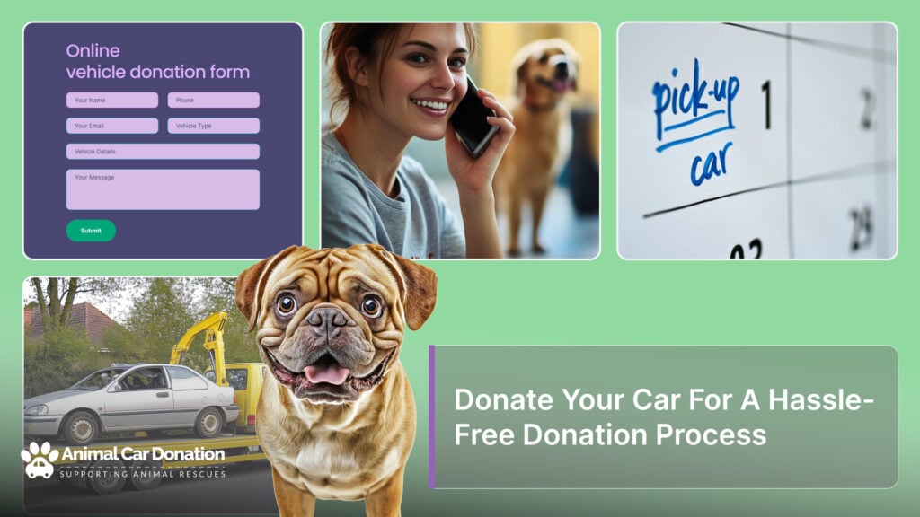 Donate Your Car For A Hassle-Free Donation Process