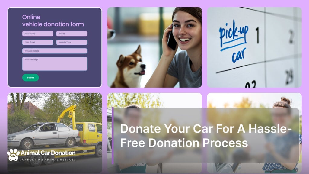 Donate Your Car For A Hassle-Free Donation Process