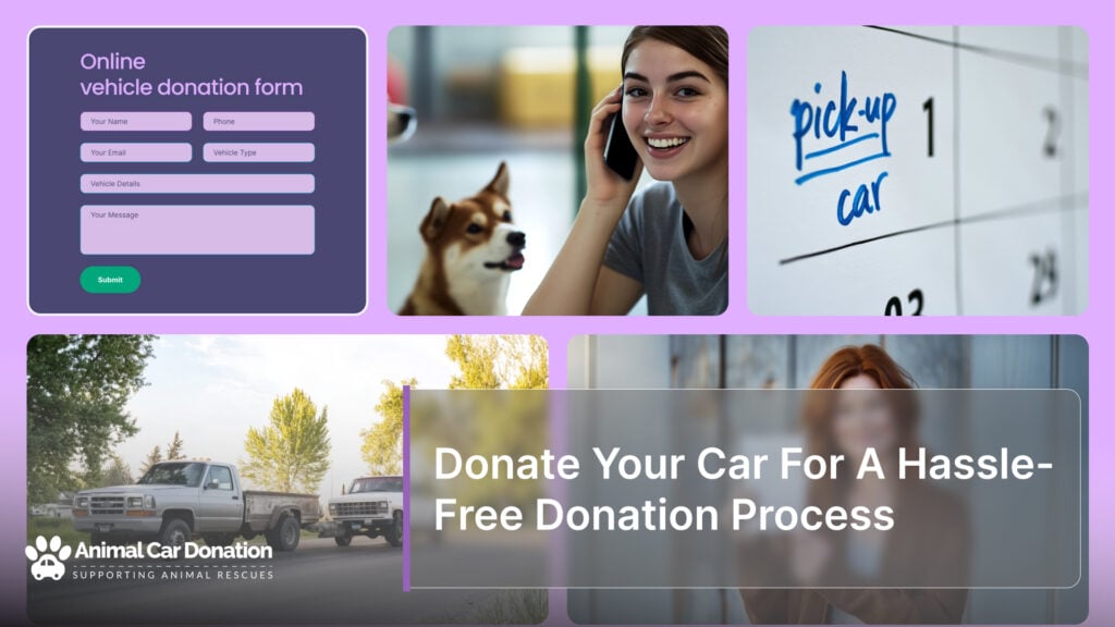 Donate Your Car For A Hassle-Free Donation Process