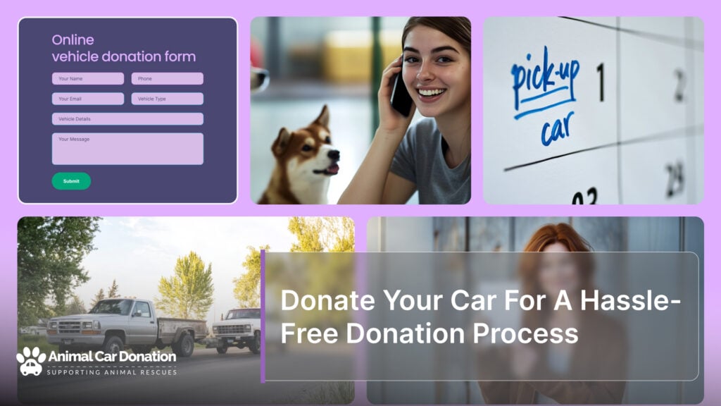 Donate Your Car For A Hassle-Free Donation Process