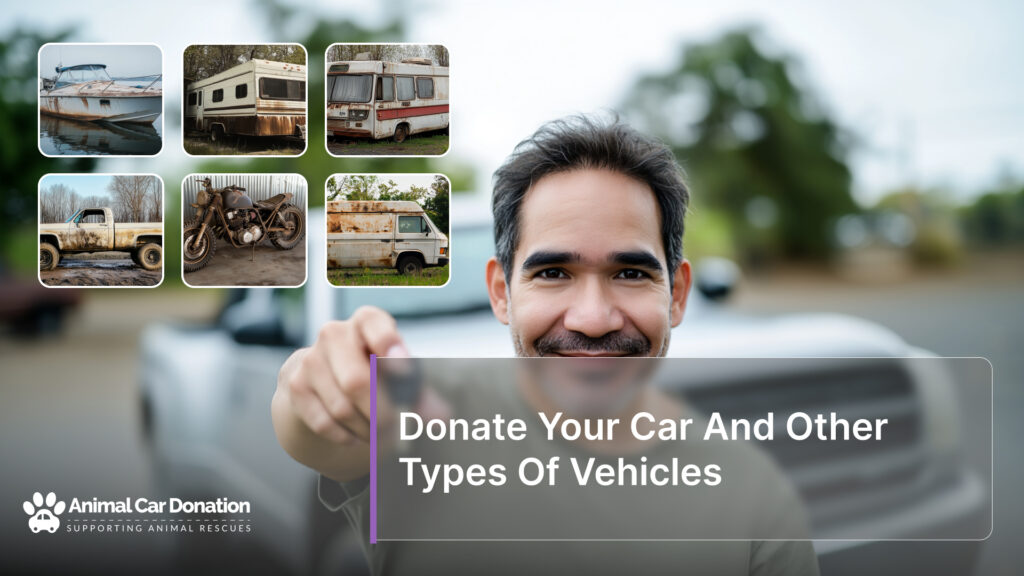 Donate Your Car And Other Types Of Vehicles