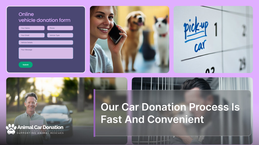 Our Car Donation Process Is Fast And Convenient