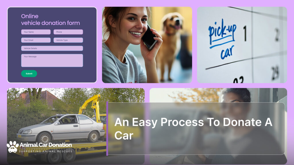 An Easy Process To Donate A Car