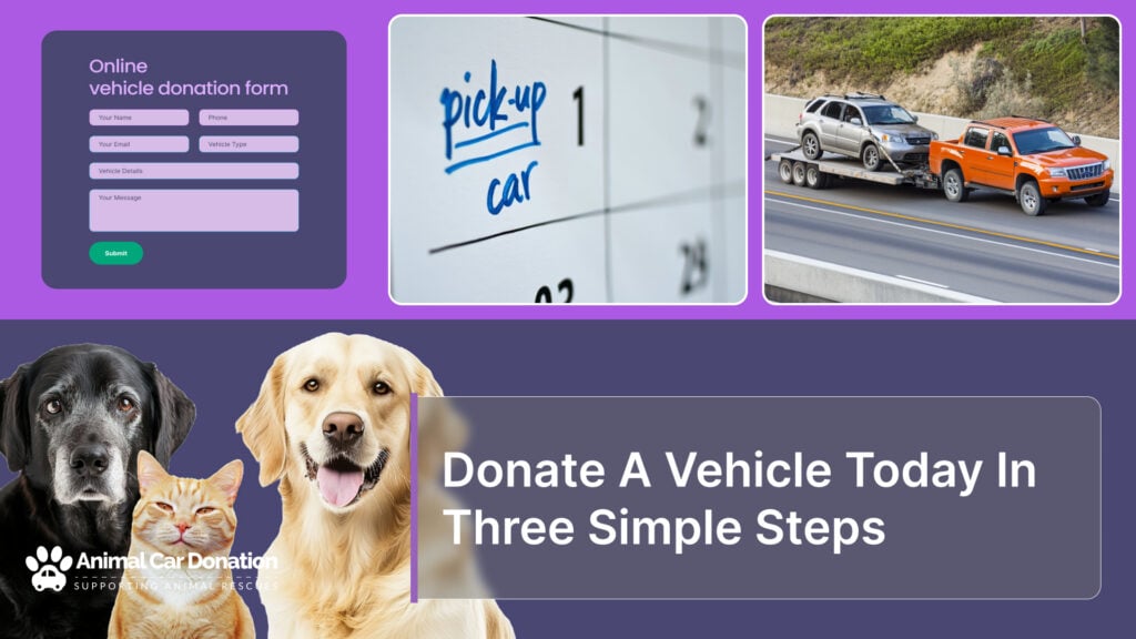 Donate A Vehicle Today In Three Simple Steps