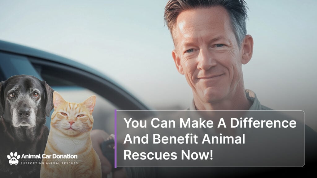 You Can Make A Difference And Benefit Animal Rescues Now!