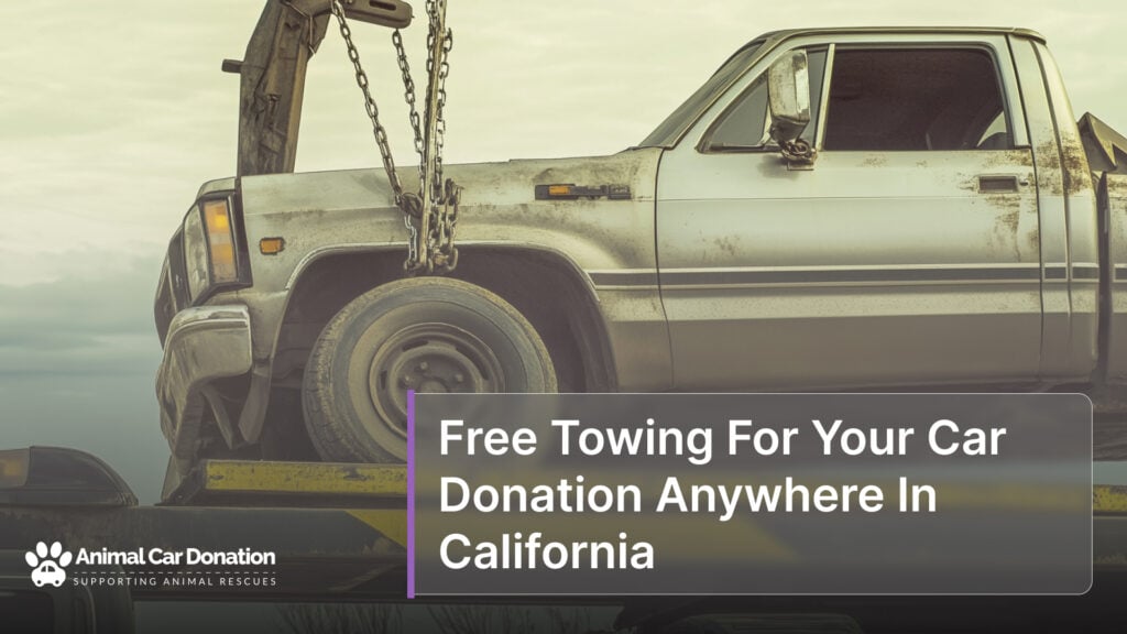 Free Towing For Your Car Donation Anywhere In California