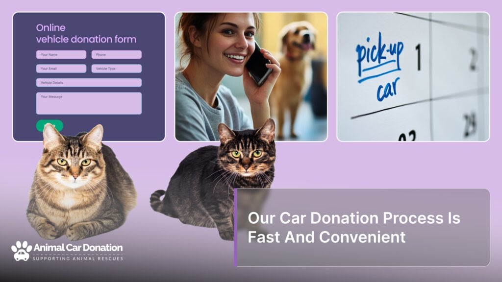 Our Car Donation Process Is Fast And Convenient