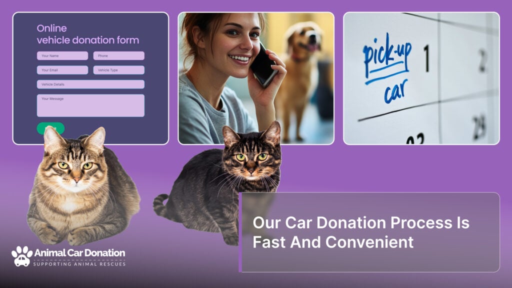 Our Car Donation Process Is Fast And Convenient