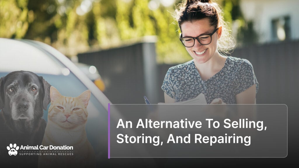 An Alternative To Selling, Storing, And Repairing