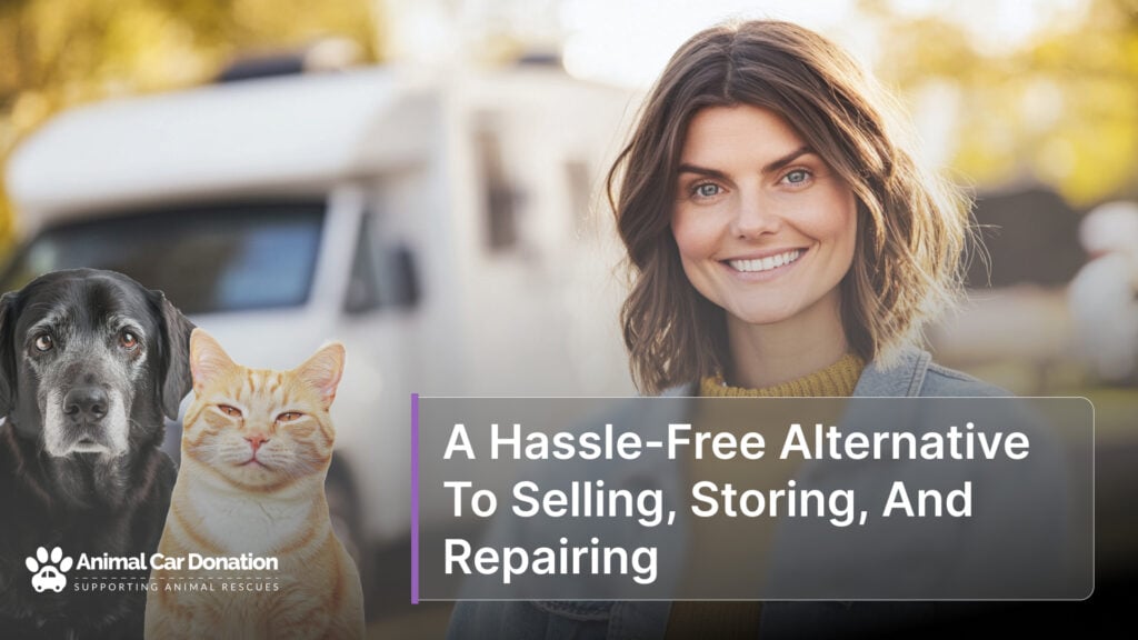 A Hassle-Free Alternative To Selling, Storing, And Repairing