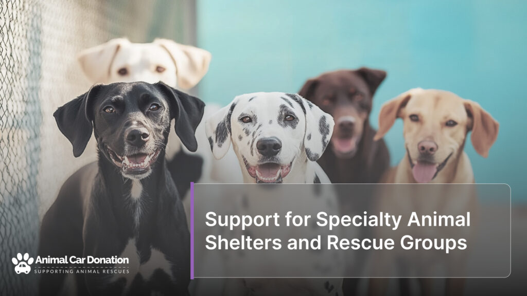 Support for Specialty Animal Shelters and Rescue Groups