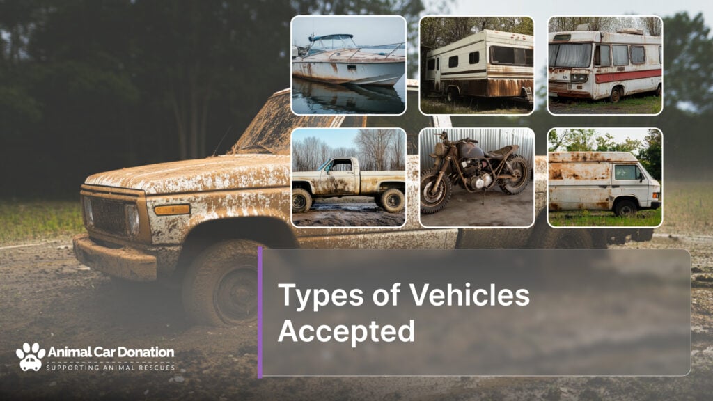 Types of Vehicles Accepted