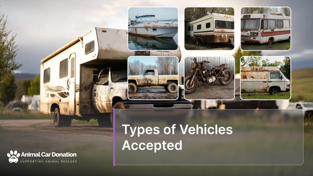 Types of Vehicles Accepted