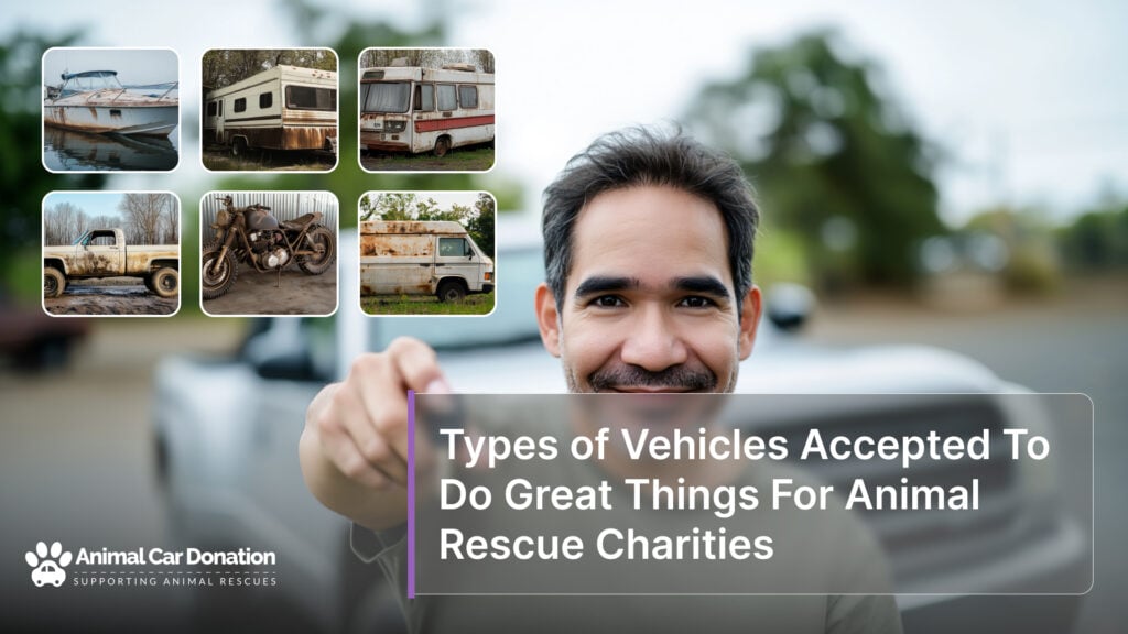 Types of Vehicles Accepted To Do Great Things For Animal Rescue Charities