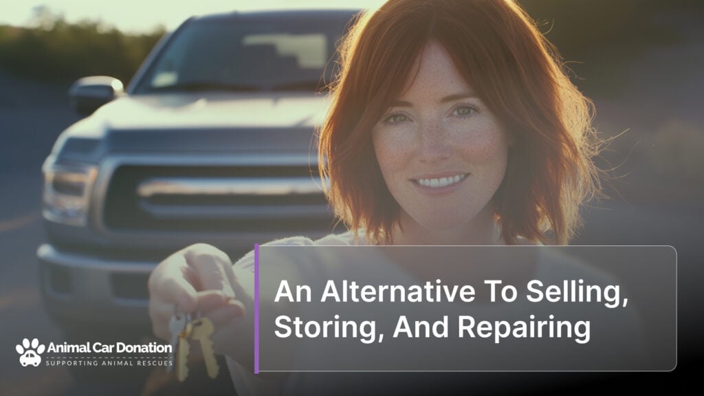 An Alternative To Selling, Storing, And Repairing