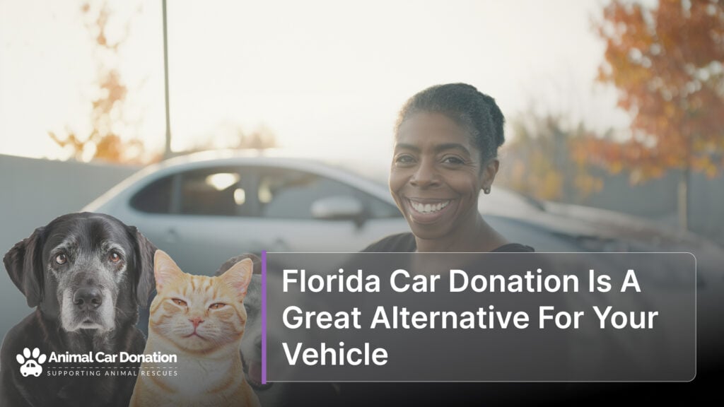 Florida Car Donation Is A Great Alternative For Your Vehicle