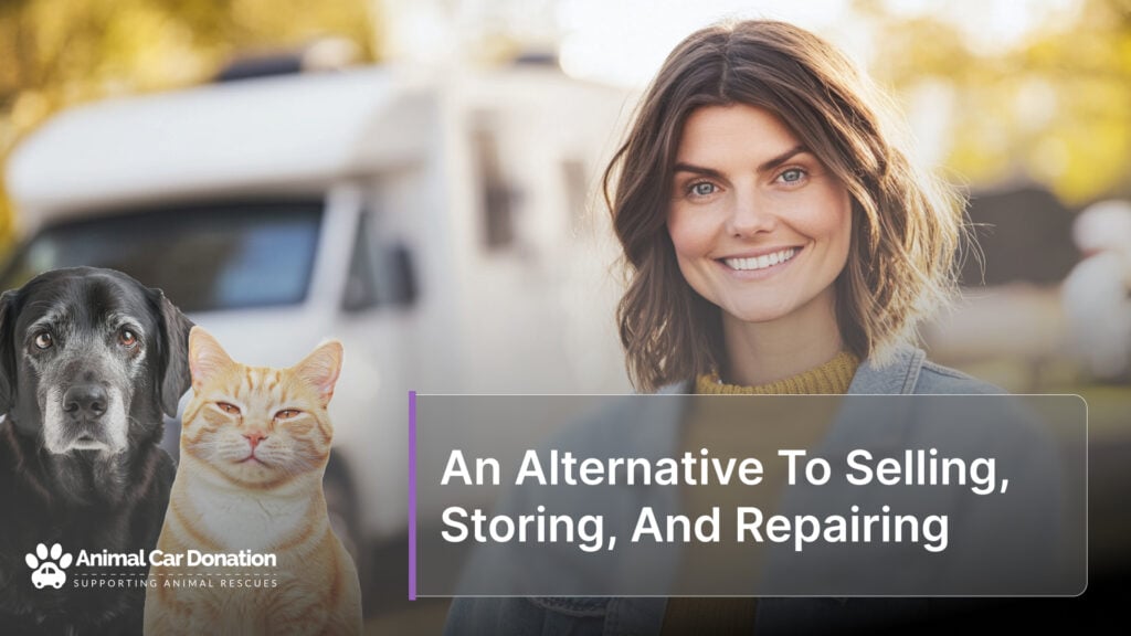 An Alternative To Selling, Storing, And Repairing