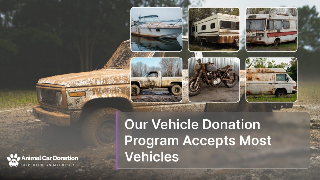 Our Vehicle Donation Program Accepts Most Vehicles