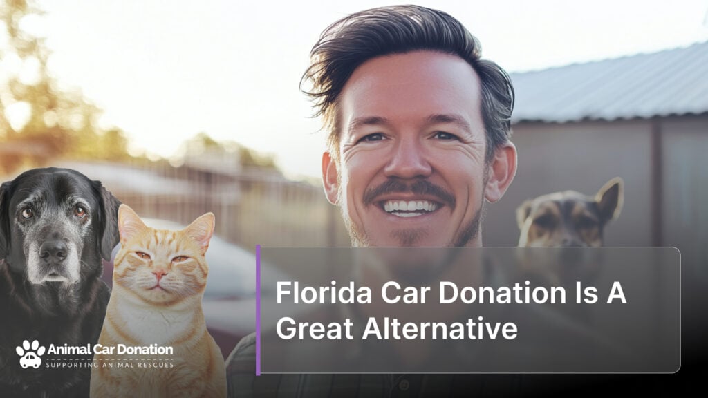 Florida Car Donation Is A Great Alternative