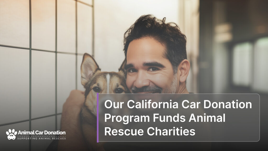 Our California Car Donation Program Funds Animal Rescue Charities