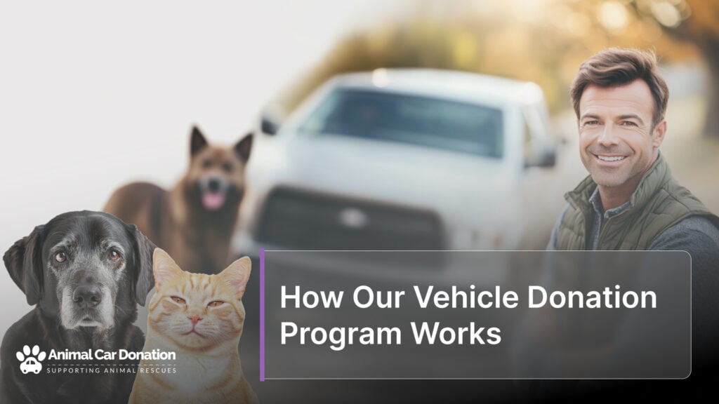 How Our Vehicle Donation Program Works