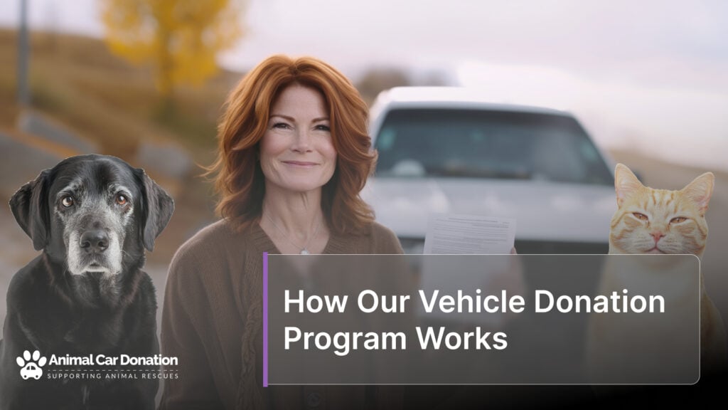 How Our Vehicle Donation Program Works